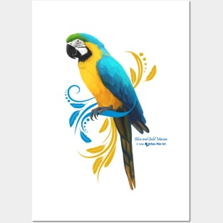 Blue and Gold Macaw Posters and Art